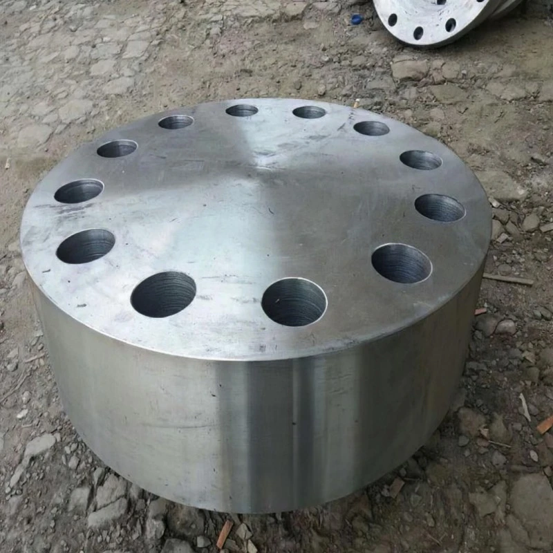 Fixed tube plate flange
