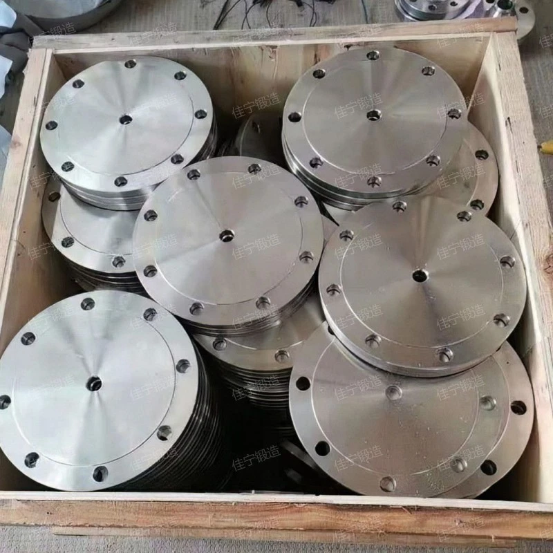 Orifice blind flange