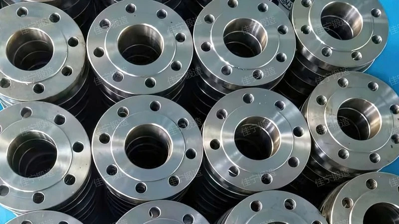 DN10 flange